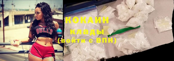 мет Елабуга
