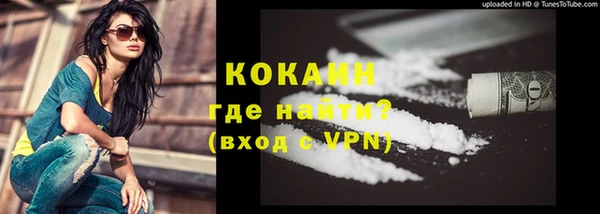 мескалин Ельня