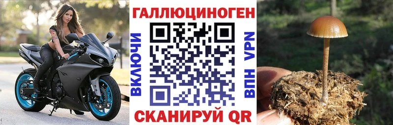 Псилоцибиновые грибы прущие грибы  Купить где  Карталы 